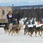 Musher Leah Gifford takes off from the starting line of Freddie&rsquo;s Midnight Run on Saturday, April 1 in Caribou Hills after the race&rsquo;s shotgun start, where mushers race from their sleeping bags and hook up their dogs before starting on the trail. (Kat Sorensen/Peninsula Clarion).