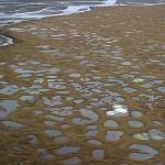 FILE - This June 19, 2001 file photo shows pockets of melted snow and rain that formed small pools of water in an area of the Arctic National Wildlife Refuge in Alaska. President Donald Trump&rsquo;s proposed budget calls for opening the coastal plain of the Arctic National Wildlife Refuge to oil and gas drilling. The refuge takes up an area the size of West Virginia and Connecticut combined in the northeast corner of Alaska. (AP Photo/Al Grillo, file)