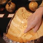 Wood turning artist Al Janonis shows his burl art at KVCC summer show.