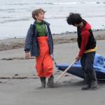 Robyn Walls (center) pulls a bag of marine debris gathered from a beach back toward a central camp on Sunday, June 4, 2017 on Augustine Island, Alaska. Walls, a teacher at West Homer Elementary School, participated in a trip coordinated by the Center for Alaskan Coastal Studies to clean marine debris from the beaches of the remote island. (Photo by Elizabeth Earl/Peninsula Clarion)