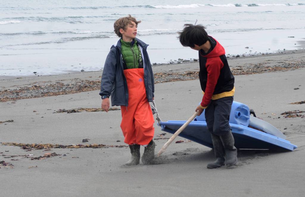 Robyn Walls (center) pulls a bag of marine debris gathered from a beach back toward a central camp on Sunday, June 4, 2017 on Augustine Island, Alaska. Walls, a teacher at West Homer Elementary School, participated in a trip coordinated by the Center for Alaskan Coastal Studies to clean marine debris from the beaches of the remote island. (Photo by Elizabeth Earl/Peninsula Clarion)