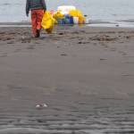 Volunteers clean beaches on remote Augustine Island