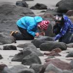Volunteers clean beaches on remote Augustine Island