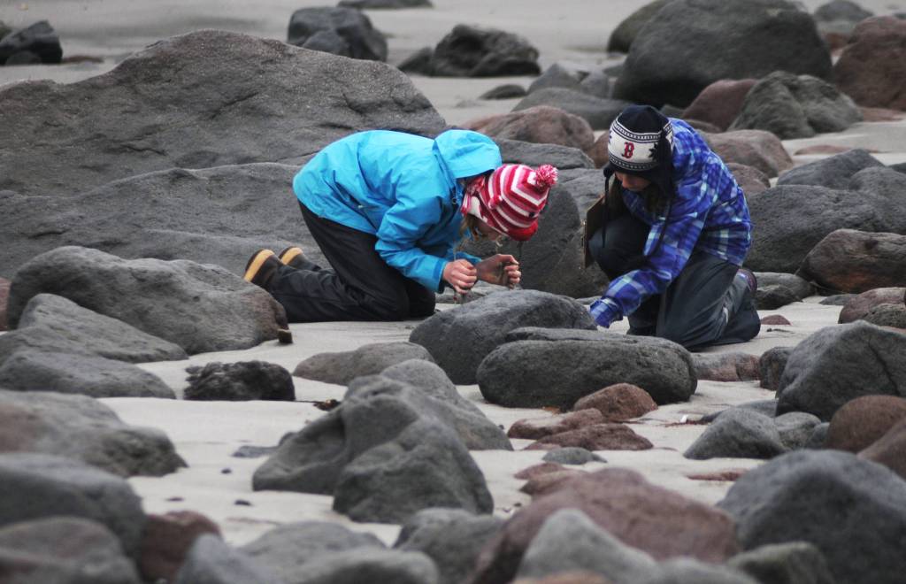Volunteers clean beaches on remote Augustine Island