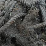 Volunteers clean beaches on remote Augustine Island