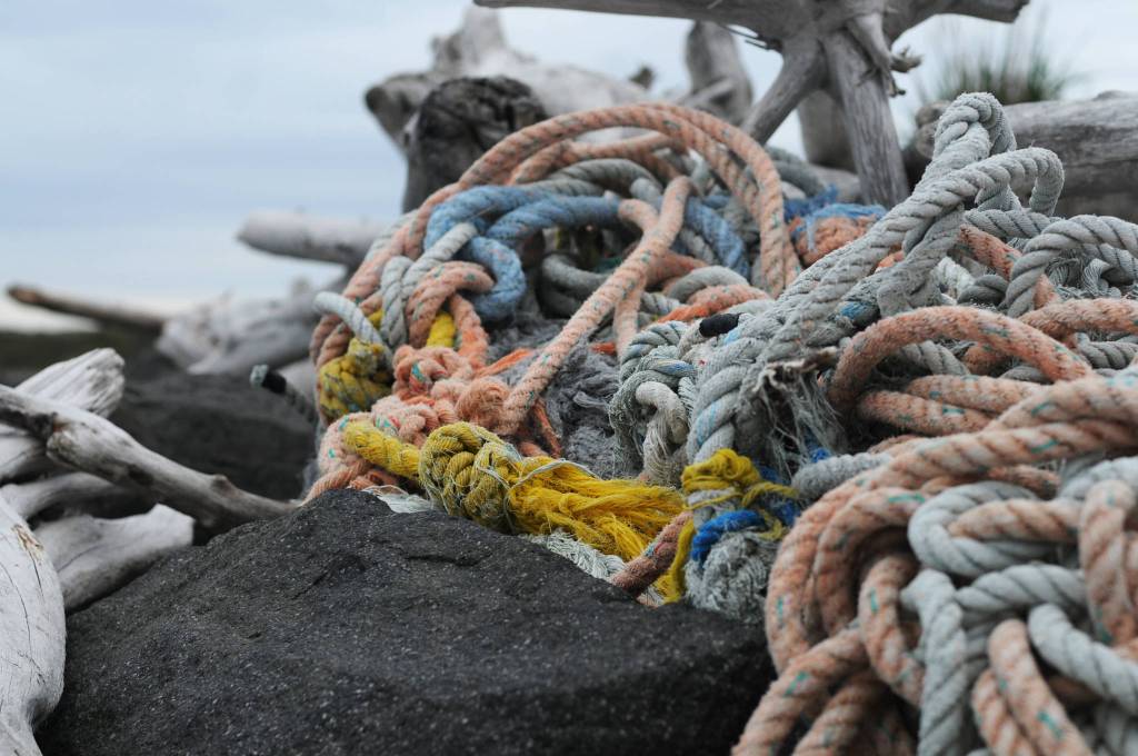 Volunteers clean beaches on remote Augustine Island