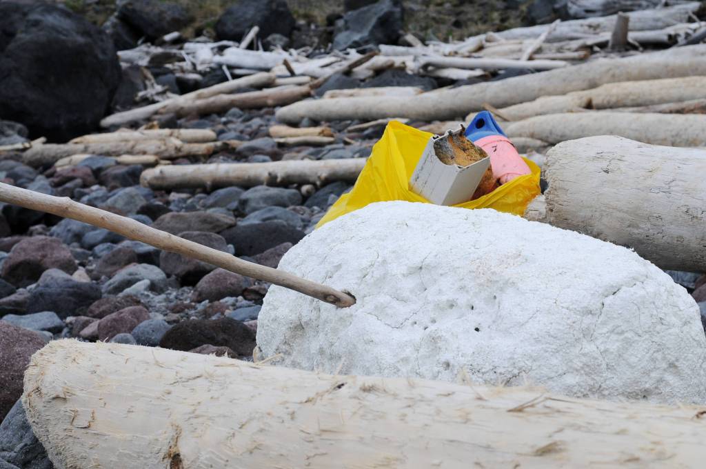 Volunteers clean beaches on remote Augustine Island