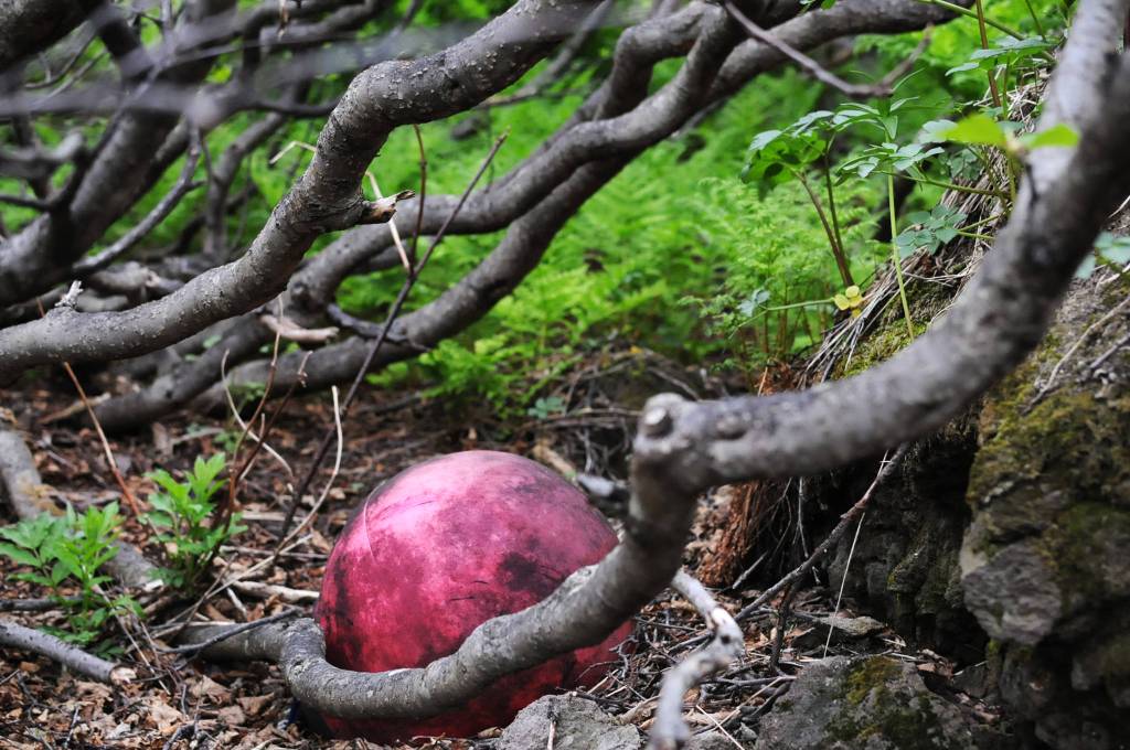 Volunteers clean beaches on remote Augustine Island