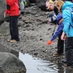 Little-studied island holds life, geothermal energy potential