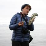 Little-studied island holds life, geothermal energy potential