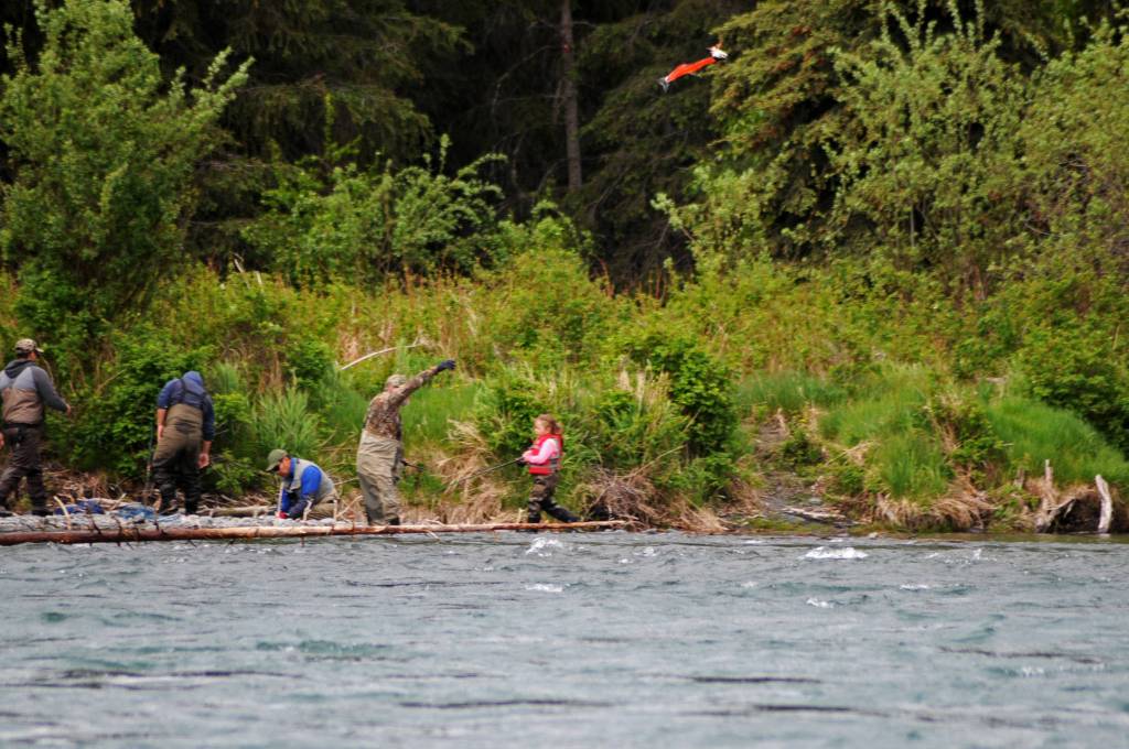 A successful angler pitches the remains of a filleted sockeye salmon out into the fast-flowing waters of the Kenai River downstream of the confluence with the Russian River on Sunday, June 11, 2017 near Cooper Landing, Alaska. Sunday was the first opening for the popular Russian River sockeye salmon sportfishery, and by midmorning, many anglers were already packing out their limits of salmon while others pulled in their catches. As of Saturday, the Alaska Department of Fish and Game&rsquo;s weir on Lower Russian Lake had counted 1,027 sockeye, more than triple the 274 that had passed the weir as of the same date in 2016. (Elizabeth Earl/Peninsula Clarion)