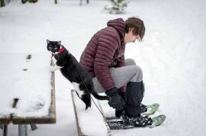 This Jan. 25, 2016 photo provided by Kim Randolph shows Ruger, the &ldquo;adventure&rdquo; cat, and Jeremy Vick in Marquette, Mich. (Kim Randolph via AP)