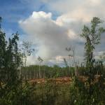 Smoke rises above the trees about a mile from Three Johns Road in Sterling Thursday evening. Firefighters are responding to a fire, believed to have been caused by a lightning strike, near Mile 76 of the Sterling Highway. (Photo by Megan Pacer/Peninsula Clarion)