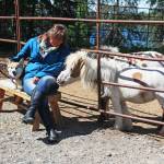 Geri Litzen sits with her two miniature horses, Pixie Dust and Magic, and her corgi, Dandelion, outside her home Wednesday, June 14, 2017 in Nikiski, Alaska. Litzen has recently opened a business called Milestones Equine Therapy run out of her home. (Megan Pacer/Peninsula Clarion)