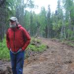 Tsalteshi Trails Maintenance Manager Bill Holt explores the newest edition to the organization&rsquo;s trail system, a parcel of land to the west of the Sterling Highway on Monday, June 19, 2017 outside Soldotna, Alaska. (Kat Sorensen/Peninsula Clarion)