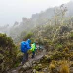 Avery Walden (center), then 9, climbs the lower heights of Mt. Kilimanjaro in Tanzania on Jan. 1, 2017. Walden, her father Chris and a family friend climbed the famous mountain in January, making Avery the youngest female to ascend the mountain. (Photo courtesy Chris Walden)