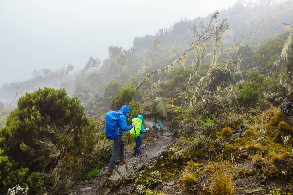 Avery Walden (center), then 9, climbs the lower heights of Mt. Kilimanjaro in Tanzania on Jan. 1, 2017. Walden, her father Chris and a family friend climbed the famous mountain in January, making Avery the youngest female to ascend the mountain. (Photo courtesy Chris Walden)
