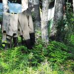 Waders hang out to dry in the trees near a campsite in Centennial Park on Wednesday, July 12, 2017 in Soldotna, Alaska. The campgrounds on the Kenai Peninsula are steadily filling up as July progresses and more hopeful anglers head to the river for a chance at some of the sockeye salmon headed up to spawn. (Photo by Elizabeth Earl/Peninsula Clarion)