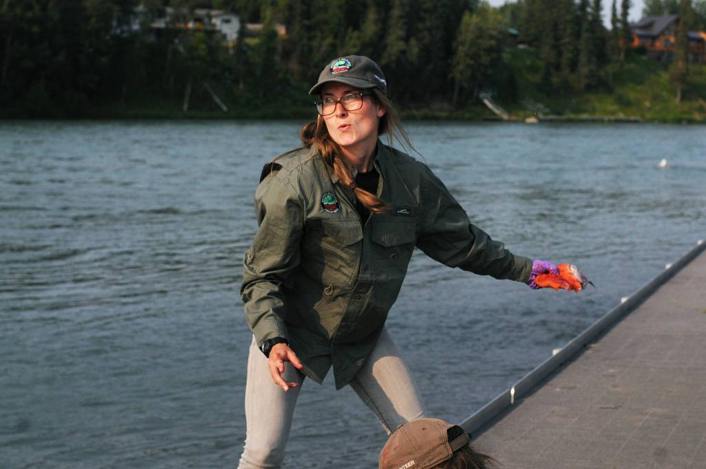Alice Main, the Stream Watch coordinator for the Kenai Watershed Forum, winds up to throw a chunk of king salmon carcass out into the fast-moving waters of the Kenai River from the Centennial Park disabled angler dock during a &ldquo;stop, chop and throw&rdquo; demonstration of how to properly dispose of fish carcasses Thursday, July 13, 2017 in Soldotna, Alaska. (Photo by Elizabeth Earl/Peninsula Clarion)