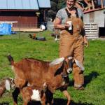 Getting your goat: Karluk Acres farm finds niche