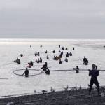 Casting their nets The sun peeks through cloud cover to light up the mouth of the Kenai River as personal-use dipnetters fish from the north Kenai beach Sunday. After several days of heavy rain across the central Kenai Peninsula, the weather began to clear Wednesday, with clouds expected to make way for some sunshine, with temperatures in the mid-60s, according to the National Weather Service. Find more fishing coverage on Page A10. (Photo by Elizabeth Earl/Peninsula Clarion)