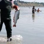 Word on the beach: Red run is slow but steady