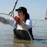 Annie Cromwell of Anchorage dipnets for sockeye salmon Sunday, July 23, on the north beach in Kenai, Alaska. (Photo by Kat Sorensen/Peninsula Clarion)