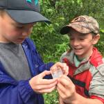 Keenan Young (left) and Landon Beaudon inspect insects they found during a nature walk on Wednesday, July 26, 2017 in Soldotna, Alaska while at Kenai Watershed Forum&rsquo;s Adopt-A-Stream summer camp. The campers were asked to find bugs and inspect them with their magnifying boxes before returning them back to the wild. (Photo by Kat Sorensen/Peninsula Clarion)