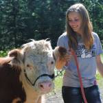 Auction ready: 4-H club prepares for annual auction event