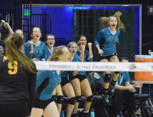 Photo by Joey Klecka/Peninsula Clarion Nikiski&rsquo;s Kaitlyn Johnson (8) jumps up in excitement along with the Nikiski bench Nov. 11, 2016, at the Class 3A state volleyball tournament at the Alaska Airlines Arena in Anchorage.