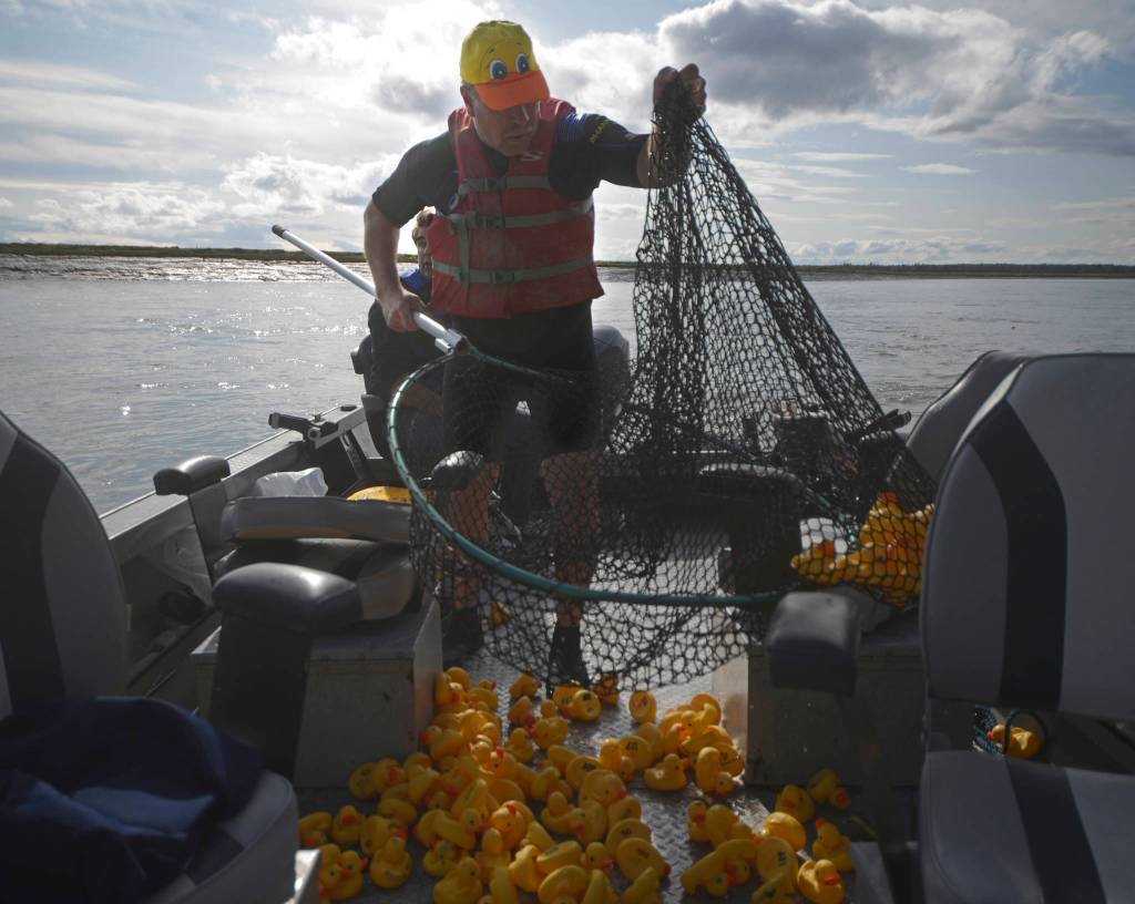 Kenai Lions Club hosts annual rubber duck race