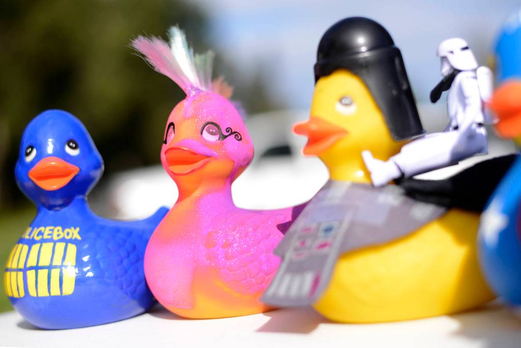 Kenai Lions Club hosts annual rubber duck race
