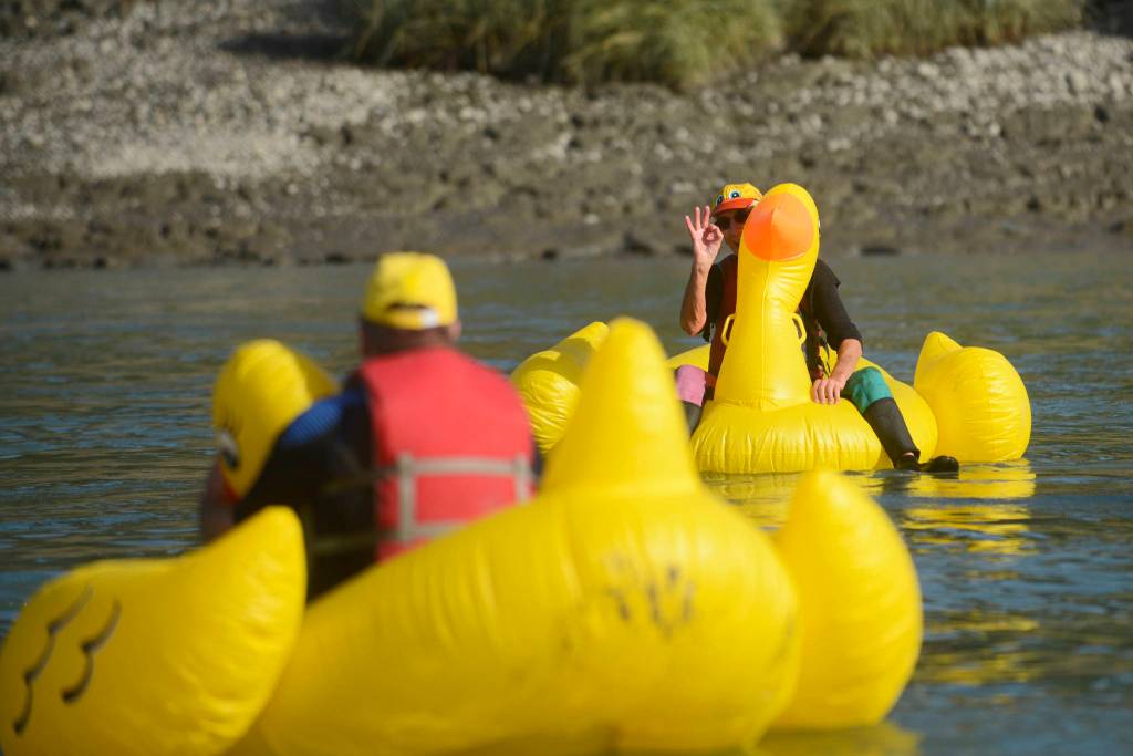 Kenai Lions Club hosts annual rubber duck race