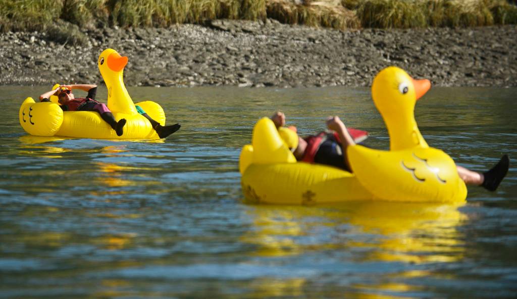 Kenai Lions Club hosts annual rubber duck race