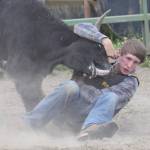 Austin Strattman wrestles a steer to the ground in a chute dogging display June 25, 2016, at the Soldotna rodeo grounds. (Photo by Joey Klecka/Peninsula Clarion)