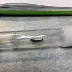 The unknown caterpillar sent off in a LifeScanner vial was subsequently identified as Crambus perlella from its DNA.