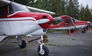 Two of Kenai Aviation&rsquo;s five airplanes &