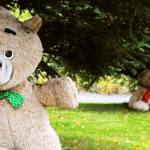 Two teddy bears hide in the trees near the dropoff point for solid waste at the Sterling Transfer Site on Saturday, Sept. 16, 2017 near Sterling, Alaska. The attendants at the transfer site, where trash is picked up and taken to Central Peninsula Landfill, rescue stuffed animals from the trash and giving them new life in the &ldquo;Sterling Zoo,&rdquo; where they rest in the bushes and trees surrouding the transfer site to greet visitors throughout the summer. They go into &ldquo;hibernation&rdquo; in the winter, resting on a shelf to stay dry before reappearing the following summer. (Photo by Elizabeth Earl/Peninsula Clarion)