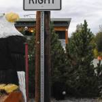 A wooden eagle keeps lookout near the attendant&rsquo;s station near the dropoff point for solid waste at the Sterling Transfer Site on Saturday, Sept. 16, 2017 near Sterling, Alaska. The attendants at the transfer site, where trash is picked up and taken to Central Peninsula Landfill, rescue stuffed animals from the trash and giving them new life in the &ldquo;Sterling Zoo,&rdquo; where they rest in the bushes and trees surrouding the transfer site to greet visitors throughout the summer. They go into &ldquo;hibernation&rdquo; in the winter, resting on a shelf to stay dry before reappearing the following summer. (Photo by Elizabeth Earl/Peninsula Clarion)