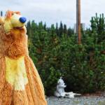 A stuffed version of The Bear in the Big Blue House character says goodbye to visitors near the attendant station at the Sterling Transfer Site on Saturday, Sept. 16, 2017 near Sterling, Alaska. The attendants at the transfer site, where trash is picked up and taken to Central Peninsula Landfill, rescue stuffed animals from the trash and giving them new life in the &ldquo;Sterling Zoo,&rdquo; where they rest in the bushes and trees surrouding the transfer site to greet visitors throughout the summer. They go into &ldquo;hibernation&rdquo; in the winter, resting on a shelf to stay dry before reappearing the following summer. (Photo by Elizabeth Earl/Peninsula Clarion)