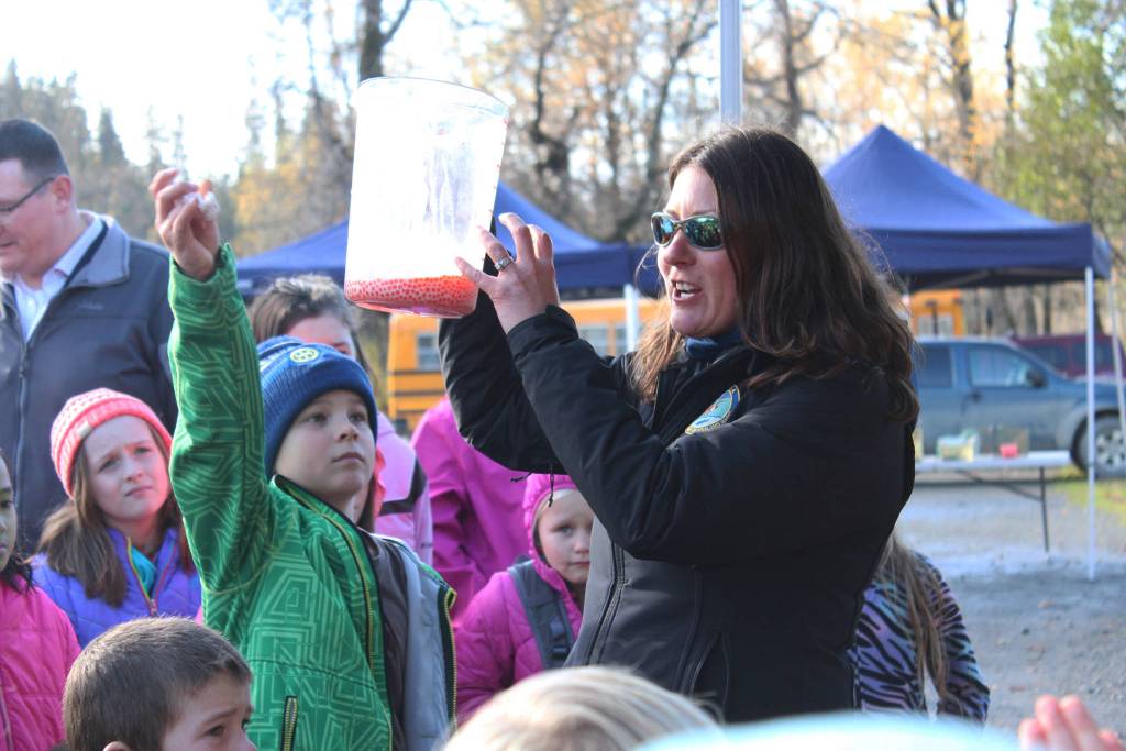 Top: Jenny Gates, a fisheries biologist with the Soldotna office of the Alaska Department of Fish and Game, demonstrates how salmon eggs are fertilized to a group of children from lower Kenai Peninsula Schools during an egg take event Thursday at the Anchor River in Anchor Point. The egg take is just the beginning of the Salmon in the Classroom program, in which students from all around the district take care of salmon and learn about their life cycle. (Photo by Megan Pacer/Homer News) Above: Elementary school students take turns looking at salmon eggs that have been mixed with milt from a male coho and water to start the fertilization process during an egg take demonstration Thursday at the Anchor River in Anchor Point. Students from all over the Kenai Peninsula Borough School District participate in the Salmon in the Classroom program, which takes them through the life cycle of salmon. (Photo by Megan Pacer/Homer News)