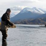 Mike Tuhy, owner and operator of the Tower Rock Lodge in Kenai, Alaska, casts for trout in the Upper River Kenai on Oct. 11, 2017. (Photo by Kat Sorensen/Peninsula Clarion)
