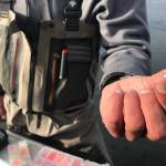 Brant Koetting, a fishing guide with Tower Rock Lodge, holds out one of his bead selections for fishing the Upper River Kenai in Alaska on Oct. 11, 2017. (Photo by Kat Sorensen/Peninsula Clarion)