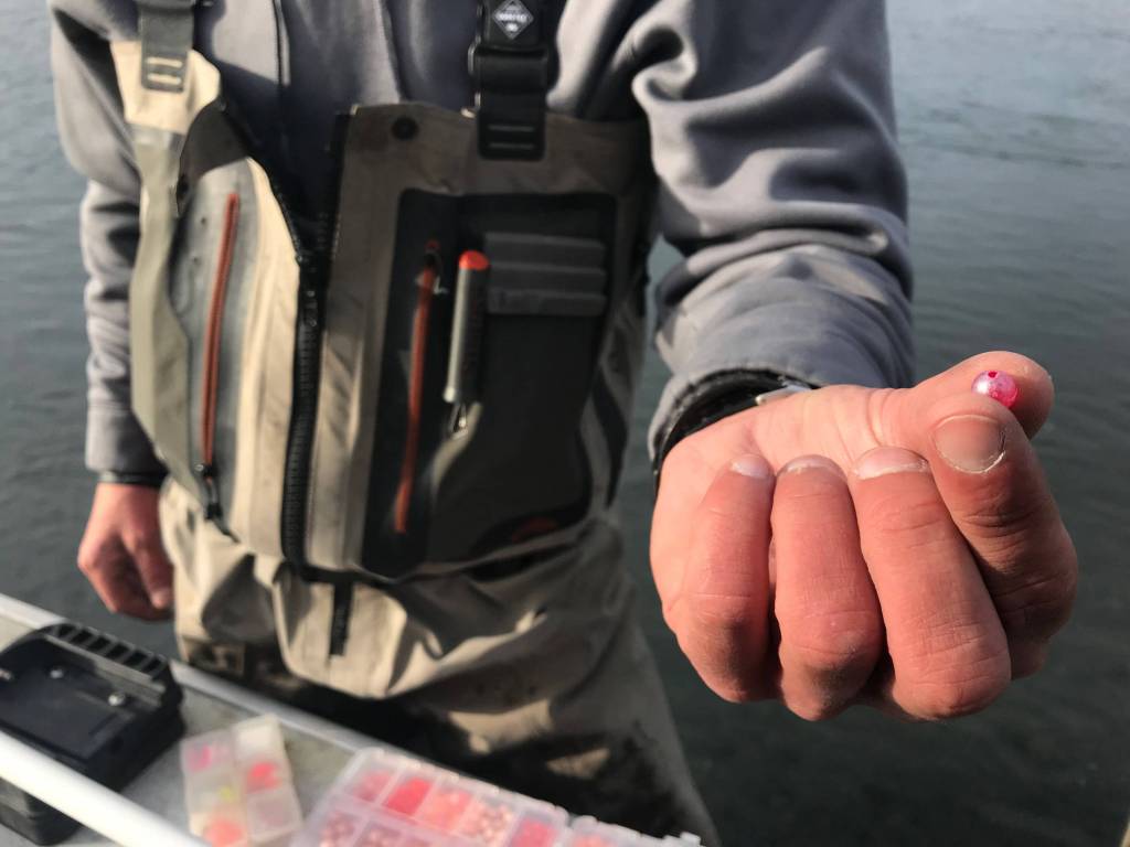 Brant Koetting, a fishing guide with Tower Rock Lodge, holds out one of his bead selections for fishing the Upper River Kenai in Alaska on Oct. 11, 2017. (Photo by Kat Sorensen/Peninsula Clarion)