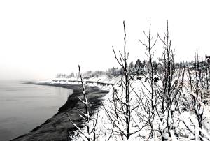 Several inches of snow blanket the bluff along the Kenai River on Sunday afternoon during a slow snow fall that covered the Soldotna and Kenai area. (Photo by Kat Sorensen/Peninsula Clarion)