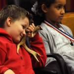 James Hartness, a second grader at Kalifornsky Beach Elementary School, playing the character of &ldquo;Max,&rdquo; listens during a witness&rsquo;s testimony during the class&rsquo;s mock trial of &ldquo;Arthur T. Grinch,&rdquo; based on Dr. Seuss&rsquo;s classic &ldquo;How the Grinch Stole Christmas&rdquo; on Thursday, Nov. 9, 2017 in Kenai, Alaska. The class has been studying civics and learning about the court process and put on a mock sentencing hearing, complete with witnesses and a jury composed of students&rsquo; parents and K-Beach Elementary Principal Nate Crabtree. (Photo by Elizabeth Earl/Peninsula Clarion)