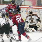 Fairbanks Ice Dogs forward Erkka Vanska (20) scores a goal on Kenai River Brown Bears goalie Gavin Enright on Friday, Nov. 24, 2017, at the Soldotna Regional Sports Complex. (Photo by Jeff Helminiak/Peninsula Clarion)