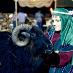 Will Klein cares for his sheep during Bethlehem Revisited at the College Heights Baptist Church in Soldotna. The event invites guests to travel through the streets of a recreated Bethlehem, complete with shekels, soldiers, merchants and a few fires to keep visitors warm. (Photo by Kat Sorensen/Peninsula Clarion)