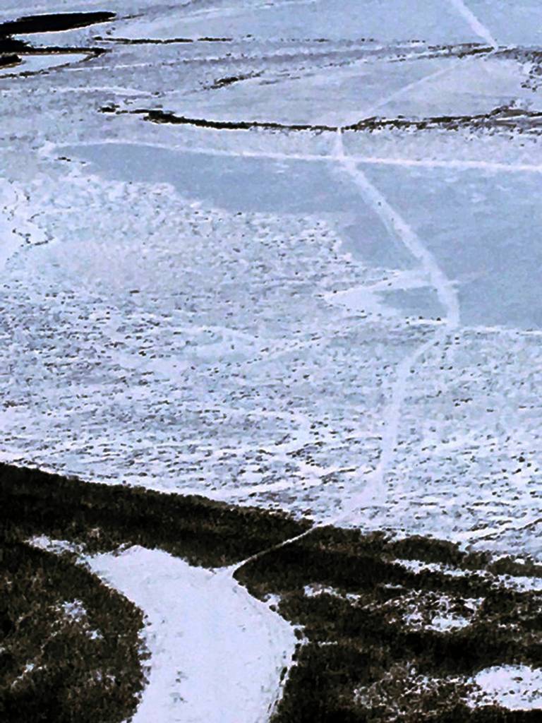 A warm Alaska brings trouble