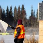 Michael Hutton (right) and Robin Wylie signal racecar drivers with flags as drivers skid around one of the corners on the ice track atop a frozen lake at the Decanter Inn on Sunday, Jan. 22, 2018 in Kasilof, Alaska. Every Sunday in the winter, the Decanter Inn hosts Peninsula Ice Racing events for drivers to try their hand at the frozen track on the shallow lake at the bottom of the hill behind the inn. The racers can use studded tires on their front wheels only and equip the sides of their vehicles with bumpers as other vehicles are likely to slip and slide into them. Spinning out is common. A tow truck waits on the sidelines to retrieve drivers who get stuck on the berms alongside the track. Fans gathered Sunday despite the cold to cheer the racers on. The men race in the morning, followed by the women&rsquo;s races in the afternoon. (Photo by Elizabeth Earl/Peninsula Clarion)